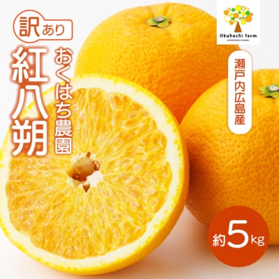 【おくはち農園】〈訳あり〉紅八朔 5kg 《2027年2～3月発送予定》 [166-006]