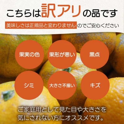 【おくはち農園】〈訳あり〉紅八朔 5kg 《2027年2～3月発送予定》 [166-006]