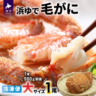 <冷凍>漁協の浜ゆで毛がに 大サイズ1尾 [02-1203]