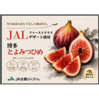 九州・福岡フルーツ王国より直送.いちじく(とよみつ姫)約1kg/2026年8月～9月配送.AA267