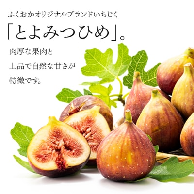 九州・福岡フルーツ王国より直送.いちじく(とよみつ姫)約1kg/2026年8月～9月配送.AA267
