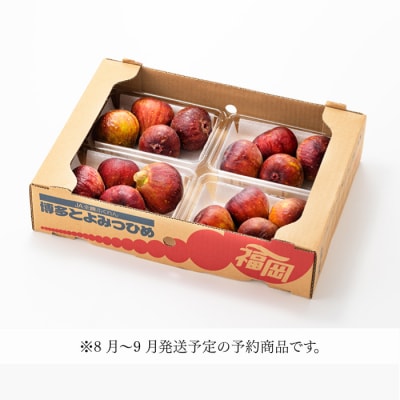 九州・福岡フルーツ王国より直送.いちじく(とよみつ姫)約1kg/2026年8月～9月配送.AA267