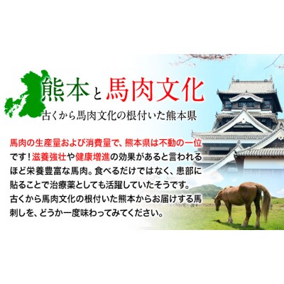 上赤身馬刺し100g×9セット(10ml×9袋)《3-7日以内に出荷予定(土日祝除く)》 