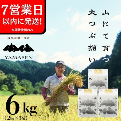 即納【令和7年産米】すがたらいす 山仙 (いのちの壱) 2kg×3袋(6kg)【51-29g】