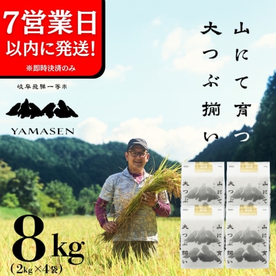 即納【令和7年産米】すがたらいす 山仙 (いのちの壱) 2kg×4袋(8kg)【51-30g】