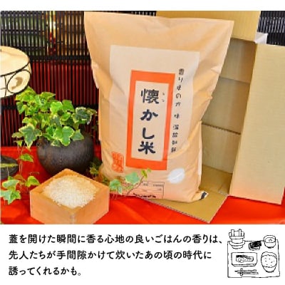 (予約受付)【五ツ星お米マイスター】ほっ懐かし米　10kg　令和8年度産　H056-171