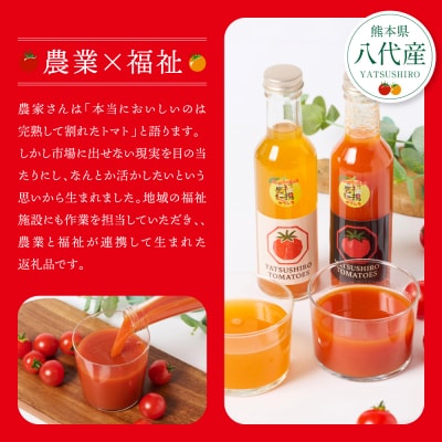 八代産完熟ミニとまと ジュース 180ml 赤白2本セット トマトジュース トマト_297-6809