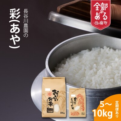 【令和8年産米】長谷川農園彩10kg3回コース『定期便』【U-011】