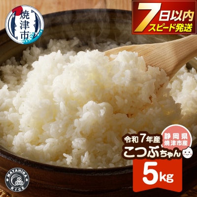 令和7年産 おいしく節約 しあわせごはん お米の小粒ちゃん 5kg(a05-026)