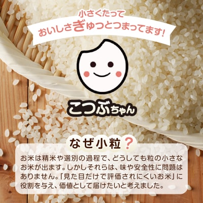 令和7年産 おいしく節約 しあわせごはん お米の小粒ちゃん 5kg(a05-026)