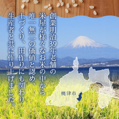 令和7年産 おいしく節約 しあわせごはん お米の小粒ちゃん 5kg(a05-026)