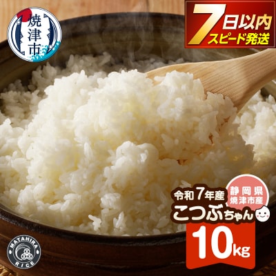 令和7年産 おいしく節約 しあわせごはん お米の小粒ちゃん 10kg(a10-1335)