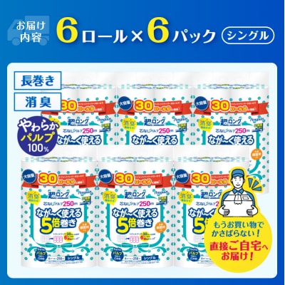 ペンギン5倍巻き 芯なし超ロング250mシングルパルプ 6ロール×6パック [sf002-617]
