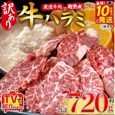 <麹熟成で旨み引き立つ!やわらか赤身ハラミ>720g 訳あり はらみ ハラミ 赤身