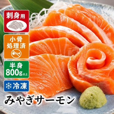 みやぎサーモン 半身 800g以上 宮城県 石巻市 鮭 サーモン 冷凍 フィレ 刺身