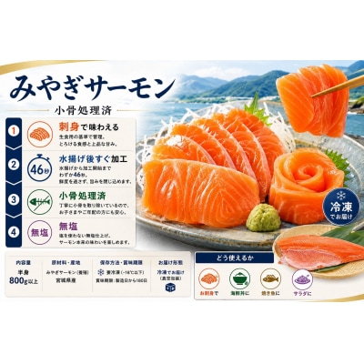 みやぎサーモン 半身 800g以上 宮城県 石巻市 鮭 サーモン 冷凍 フィレ 刺身