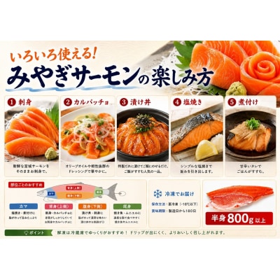 みやぎサーモン 半身 800g以上 宮城県 石巻市 鮭 サーモン 冷凍 フィレ 刺身
