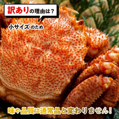 <2027年2月上旬より発送開始>訳あり 北海道産浜ゆで毛ガニ 4尾<先行受付>