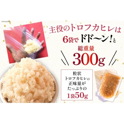 【粒々ふかひれの広東風トロかけごはん】200g×6袋 [20564718]