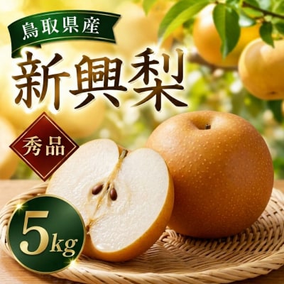 新興梨(秀) 5kg