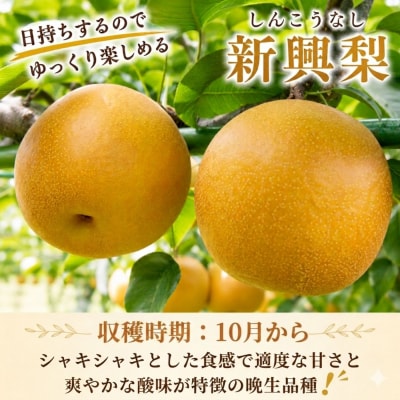 新興梨(秀) 5kg