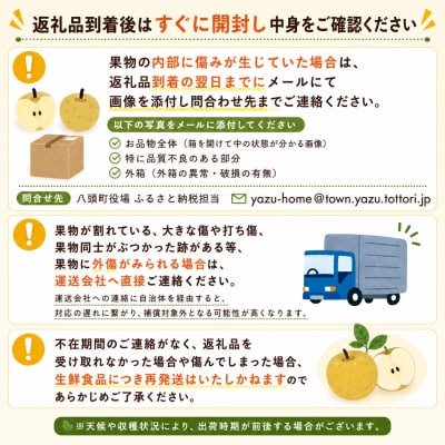 新興梨(秀) 5kg