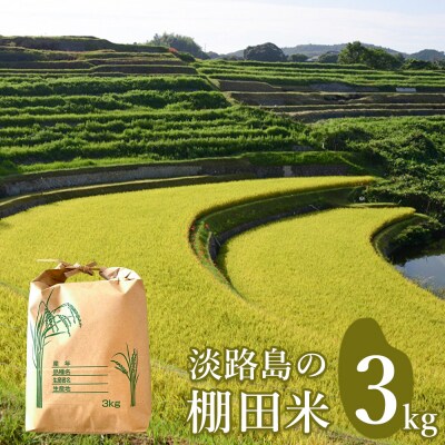 淡路島の棚田米 3kg　精米 白米　ae01093