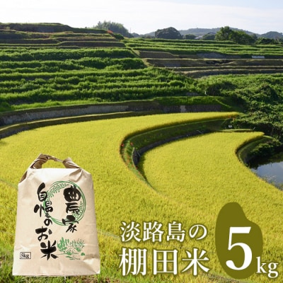 淡路島の棚田米 5kg　精米 白米　ae01094