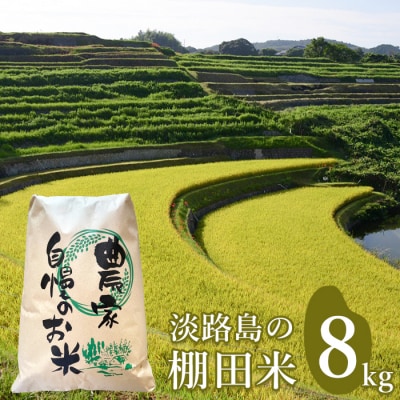 淡路島の棚田米 8kg　精米 白米　ae01095