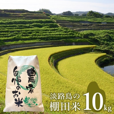 淡路島の棚田米 10kg　精米 白米　ae01096