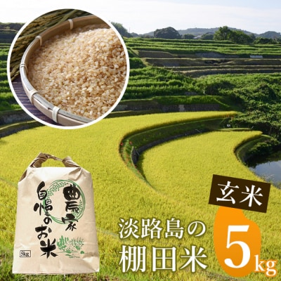 《玄米》淡路島の棚田米 5kg　ae01097