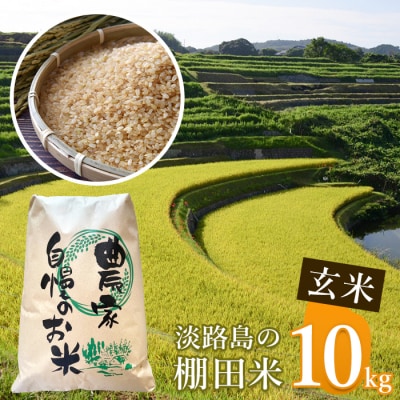 《玄米》淡路島の棚田米 10kg　ae01098