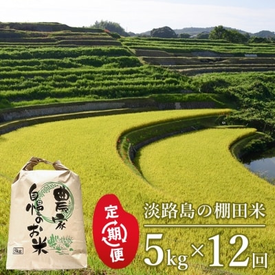 【定期便】淡路島の棚田米 5kg×12回(毎月発送)　ae01102