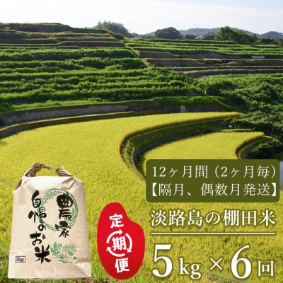 【定期便】淡路島の棚田米 5kg×6回(隔月、偶数月発送)　ae01103