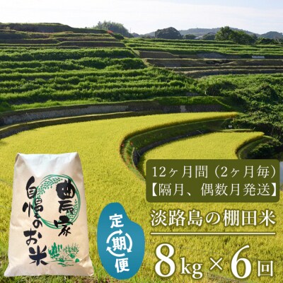 【定期便】淡路島の棚田米 8kg×6回(隔月、偶数月中旬発送)　ae01106