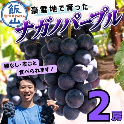 【先行予約】 ナガノパープル 2房 (約1kg) 《 2026年10月～発送 》 