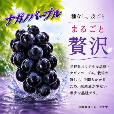 【先行予約】 ナガノパープル 2房 (約1kg) 《 2026年10月～発送 》 