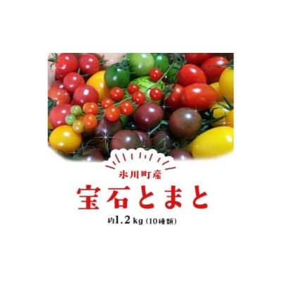 【令和8年熊本地震復興支】 【先行予約】「ミヤザキファーム」 宝石とまと 1.2kg 熊本県氷川町産