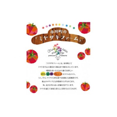 【令和8年熊本地震復興支】 【先行予約】「ミヤザキファーム」 宝石とまと 1.2kg 熊本県氷川町産