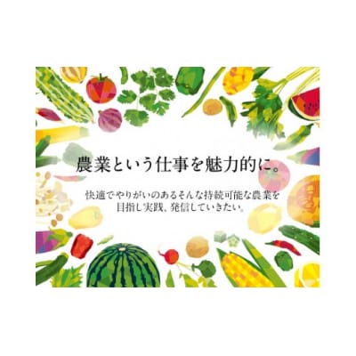 【令和8年熊本地震復興支】 【先行予約】「ミヤザキファーム」 宝石とまと 1.2kg 熊本県氷川町産
