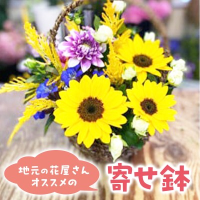 地元の花屋さんオススメの寄せ鉢 お花 花束 ギフト 寄せ鉢