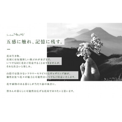地元の花屋さんオススメの寄せ鉢 お花 花束 ギフト 寄せ鉢