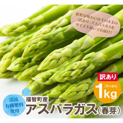 【訳あり】清流・有機肥料使用 アスパラガス(春芽) 1kg