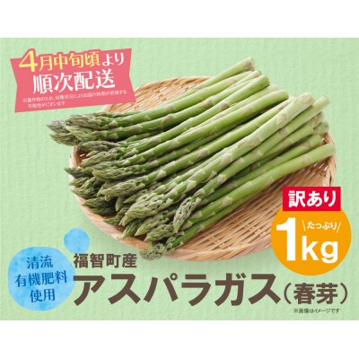 【訳あり】清流・有機肥料使用 アスパラガス(春芽) 1kg