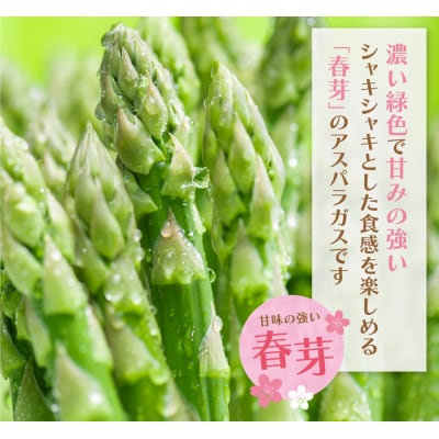 【訳あり】清流・有機肥料使用 アスパラガス(春芽) 1kg