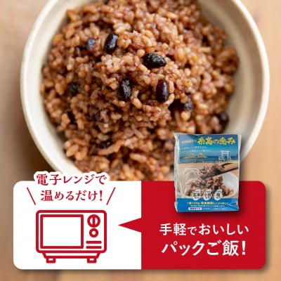 発芽発酵玄米パックご飯 125g×20パック 糸島市産[AGR007]