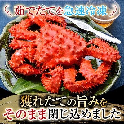 【北海道根室産】花咲かに500g前後～650g前後×2尾 A-70054
