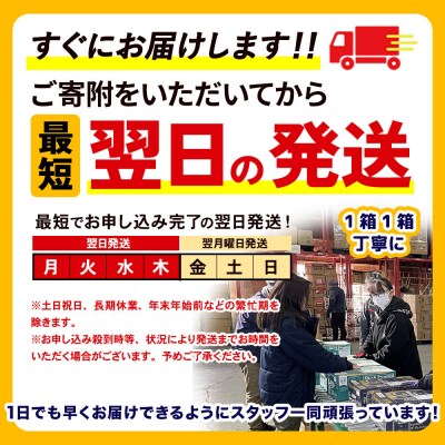 《定期便11ヶ月》サントリー からだを想うオールフリー＜350ml＞|10_omr-102411