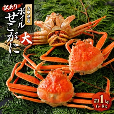 <11月中旬～12月上旬発送予定>鳥取県産 訳ありボイルせこがに大1kg(6～8枚)