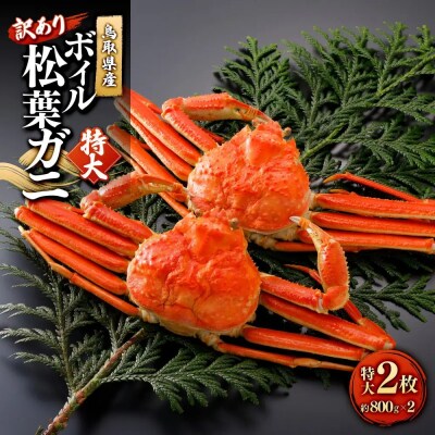 <11月中旬～2月下旬配送予定>鳥取県産　訳ありボイル松葉ガニ(特大2枚)
